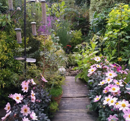 The new look back garden