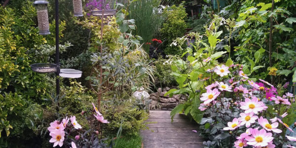 The new look back garden