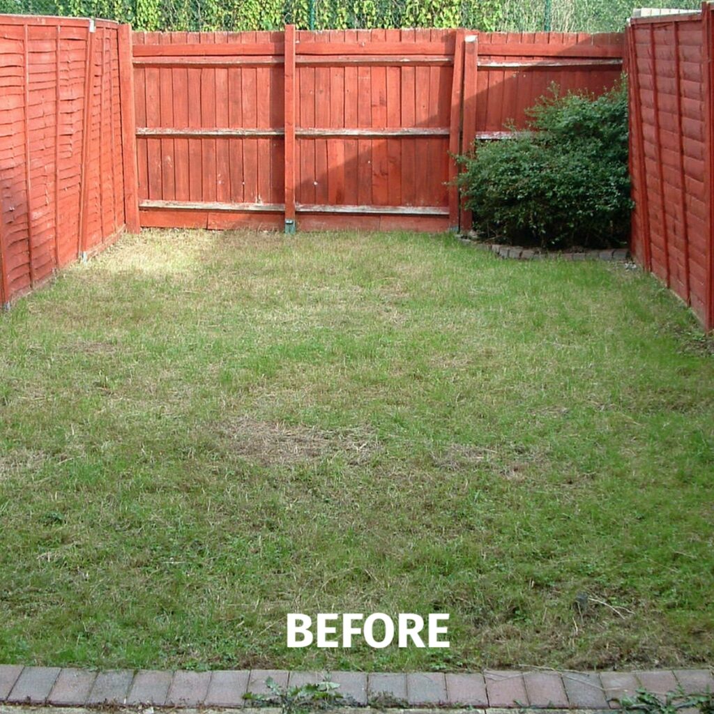 Blank canvas lawn