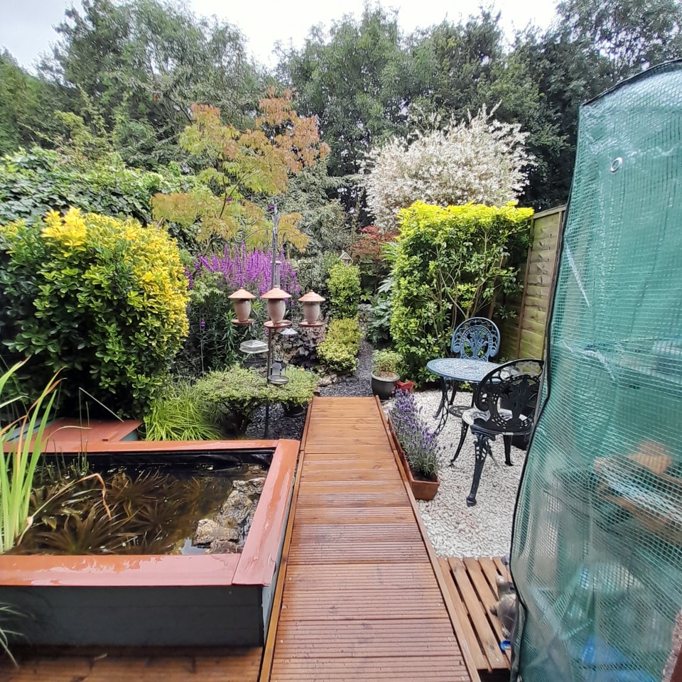 My new boardwalk into the garden