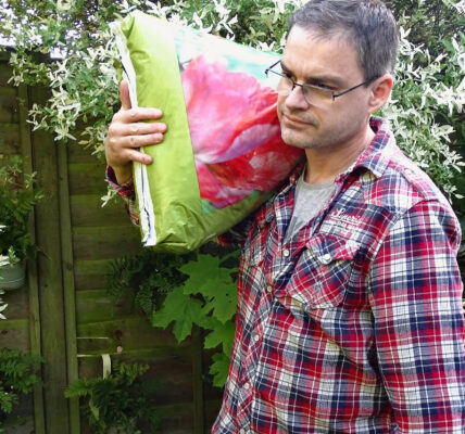 What to do in an easy-care garden in August